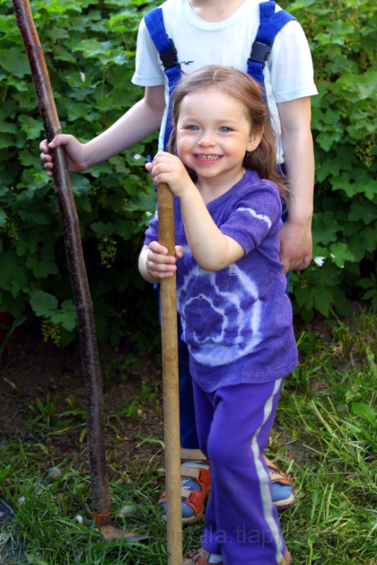 2011-05-11_17-50_01.jpg - Na zahrádce