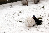 2015-01-27_13-52_00_